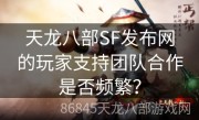 天龙八部SF发布网的玩家支持团队合作是否频繁？