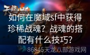 如何在魔域sf中获得珍稀战魂？战魂的搭配有什么技巧？