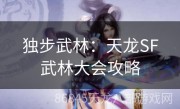 独步武林：天龙SF武林大会攻略