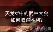 天龙sf中的武林大会如何取得胜利？