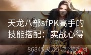 天龙八部sfPK高手的技能搭配：实战心得