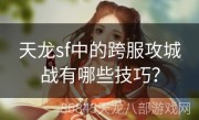 天龙sf中的跨服攻城战有哪些技巧？