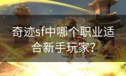 奇迹sf中哪个职业适合新手玩家？