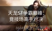 天龙SF争霸巅峰：竞技场高手对决