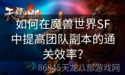 如何在魔兽世界SF中提高团队副本的通关效率？