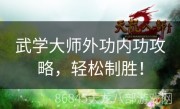 武学大师外功内功攻略，轻松制胜！