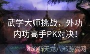 武学大师挑战，外功内功高手PK对决！