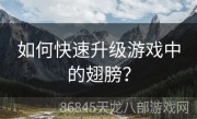 如何快速升级游戏中的翅膀？