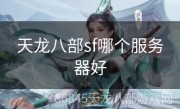 天龙八部sf哪个服务器好