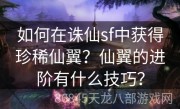 如何在诛仙sf中获得珍稀仙翼？仙翼的进阶有什么技巧？