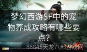 梦幻西游SF中的宠物养成攻略有哪些要点？