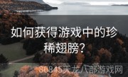 如何获得游戏中的珍稀翅膀？