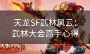 天龙SF武林风云：武林大会高手心得