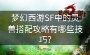 梦幻西游SF中的灵兽搭配攻略有哪些技巧？