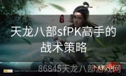 天龙八部sfPK高手的战术策略