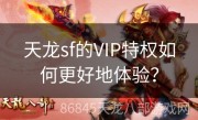 天龙sf的VIP特权如何更好地体验？