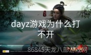 dayz游戏为什么打不开