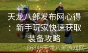 天龙八部发布网心得：新手玩家快速获取装备攻略