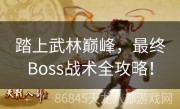 踏上武林巅峰，最终Boss战术全攻略！