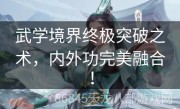 武学境界终极突破之术，内外功完美融合！