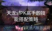 天龙sfPK高手的技能搭配策略