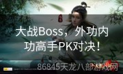 大战Boss，外功内功高手PK对决！