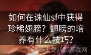 如何在诛仙sf中获得珍稀翅膀？翅膀的培养有什么技巧？