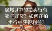 魔域sf中的拍卖行有哪些好货？如何在拍卖行中获得利益？