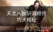 天龙八部SF双修技巧大揭秘