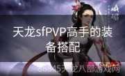 天龙sfPVP高手的装备搭配