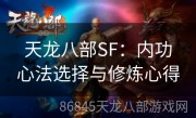 天龙八部SF：内功心法选择与修炼心得