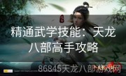 精通武学技能：天龙八部高手攻略