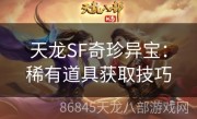 天龙SF奇珍异宝：稀有道具获取技巧