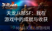 天龙八部SF：我在游戏中的成就与收获