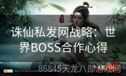 诛仙私发网战略：世界BOSS合作心得