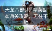 天龙八部sf：精英副本通关攻略，无往不胜