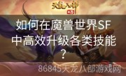 如何在魔兽世界SF中高效升级各类技能？