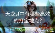 天龙sf中有哪些高效的打宝地点？