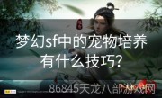 梦幻sf中的宠物培养有什么技巧？