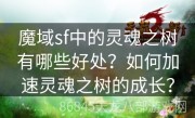 魔域sf中的灵魂之树有哪些好处？如何加速灵魂之树的成长？