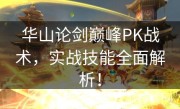 华山论剑巅峰PK战术，实战技能全面解析！