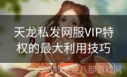 天龙私发网服VIP特权的最大利用技巧