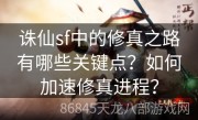 诛仙sf中的修真之路有哪些关键点？如何加速修真进程？