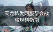 天龙私发网服帮会战略规划指南