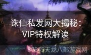 诛仙私发网大揭秘：VIP特权解读