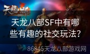 天龙八部SF中有哪些有趣的社交玩法？