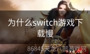 为什么switch游戏下载慢