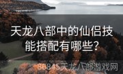 天龙八部中的仙侣技能搭配有哪些？