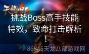 挑战Boss高手技能特效，致命打击解析！