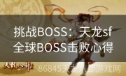 挑战BOSS：天龙sf全球BOSS击败心得